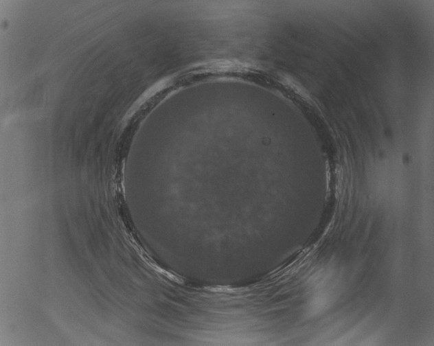 X0000056331213200508291243