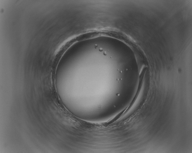 X0000056331214200508291243