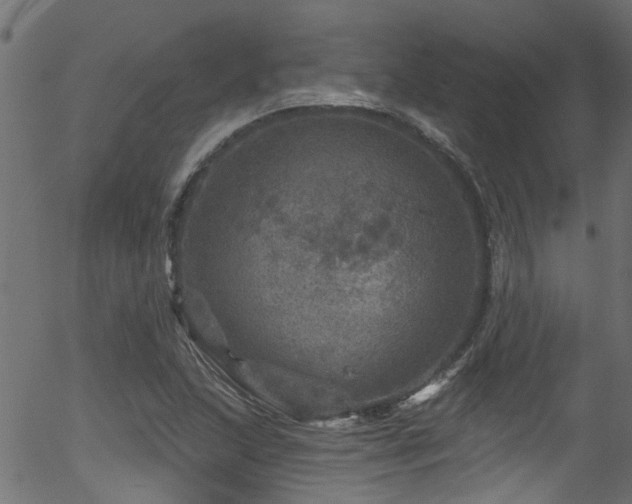 X0000056331215200508291243