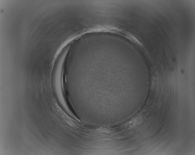 X0000056331216200508291243