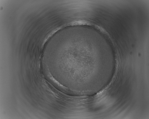 X0000056331217200508291243