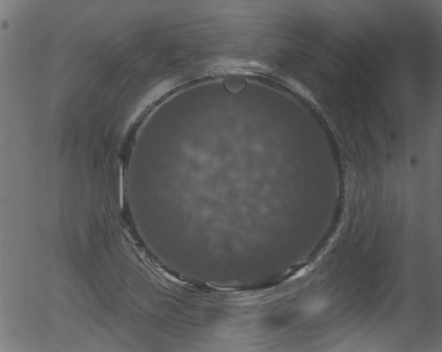 X0000056331219200508291243