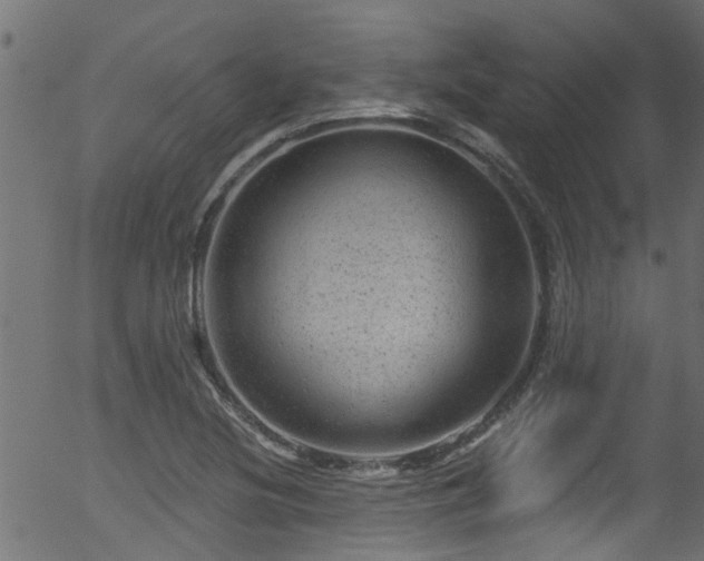 X0000056331220200508291243