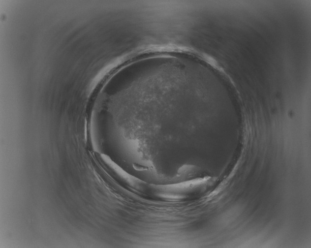 X0000056331221200508291243