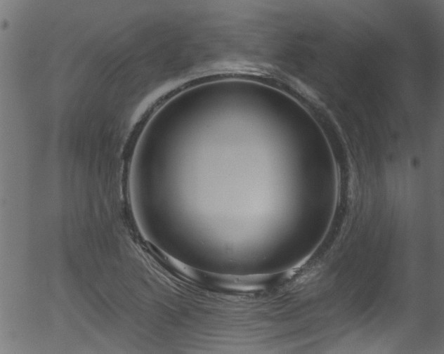 X0000056331222200508291243