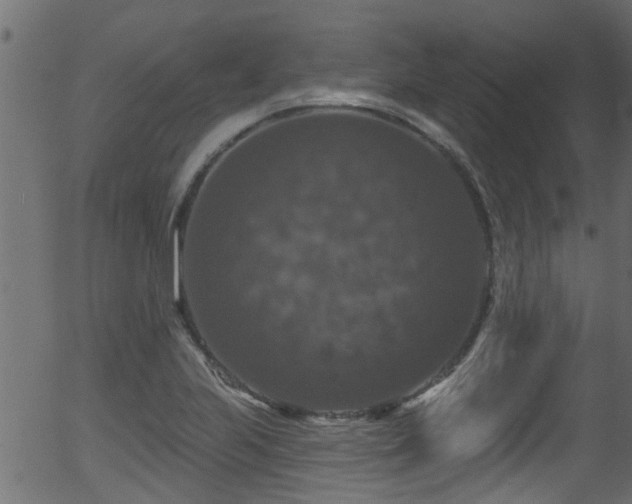 X0000056331223200508291243