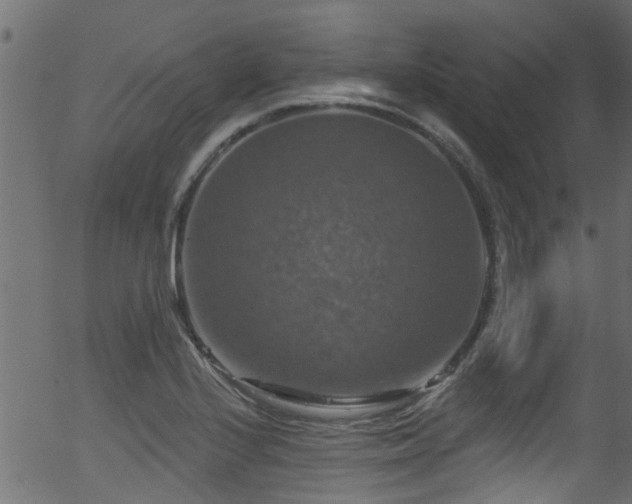 X0000056331224200508291243