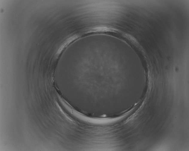 X0000056331225200508291243