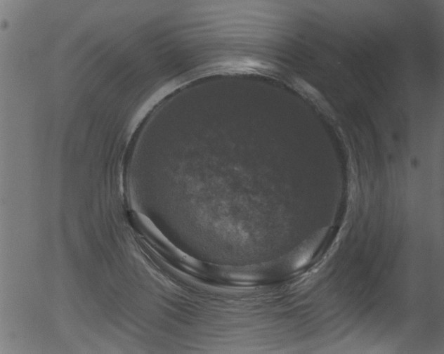 X0000056331226200508291243