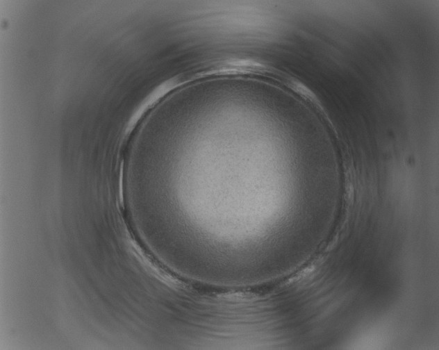 X0000056331227200508291243