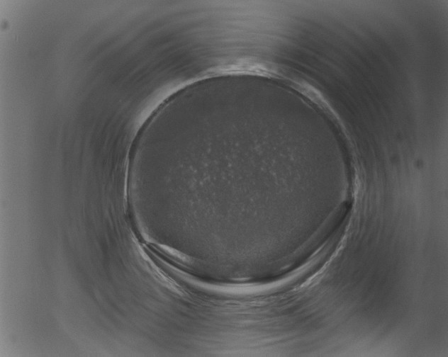 X0000056331228200508291243