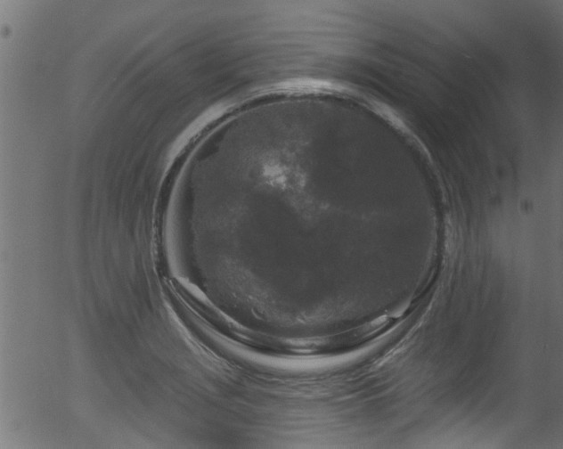 X0000056331229200508291243