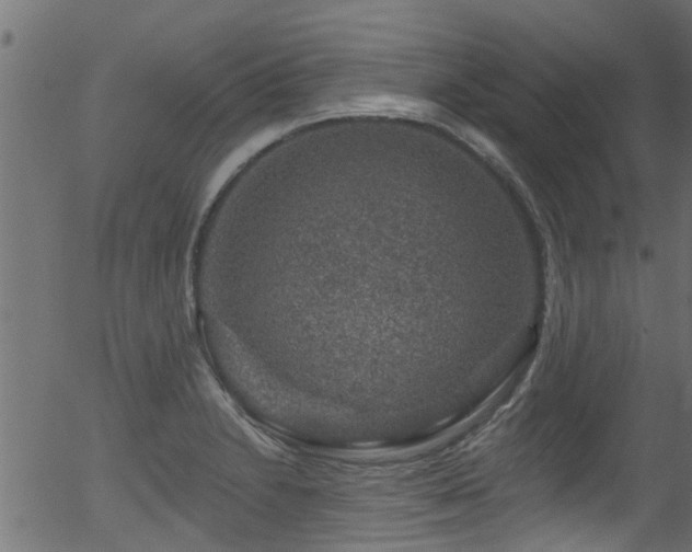 X0000056331230200508291243