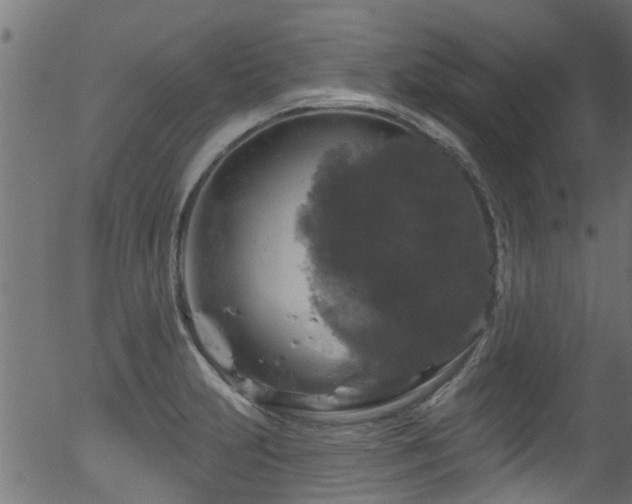 X0000056331231200508291243