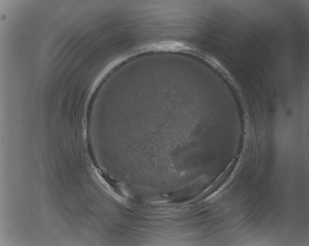 X0000056331232200508291244