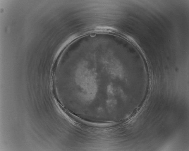 X0000056331235200508291244