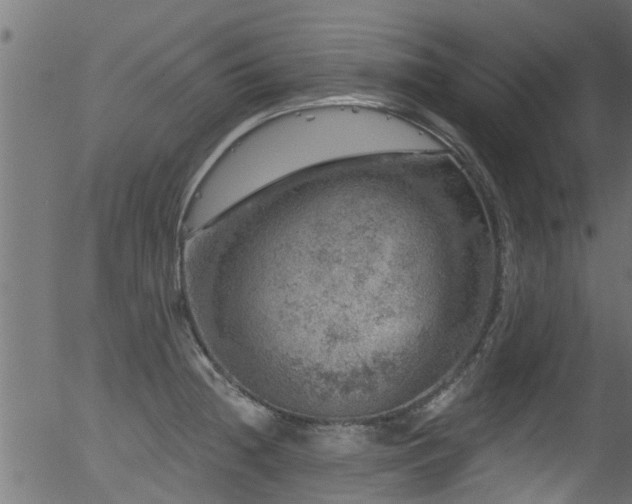 X0000056331236200508291244