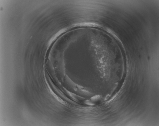 X0000056331237200508291244