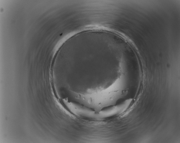 X0000056331239200508291244