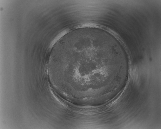 X0000056331241200508291244