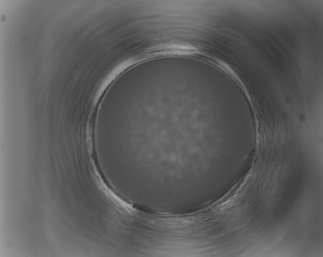 X0000056331243200508291244