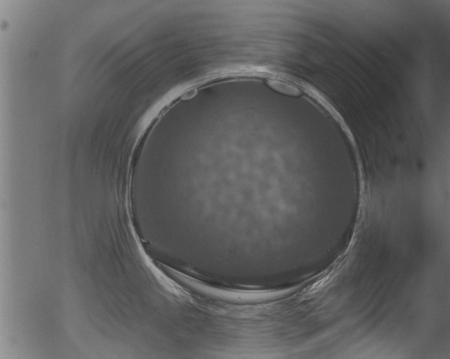 X0000056331245200508291244