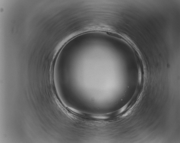 X0000056331246200508291244