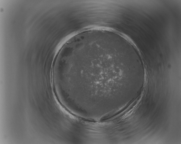 X0000056331247200508291244