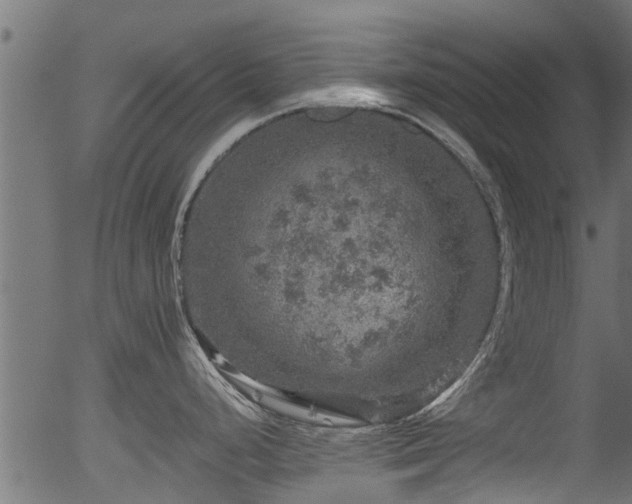 X0000056331248200508291244