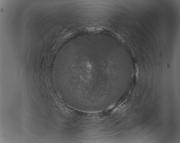 X0000056331249200508291243