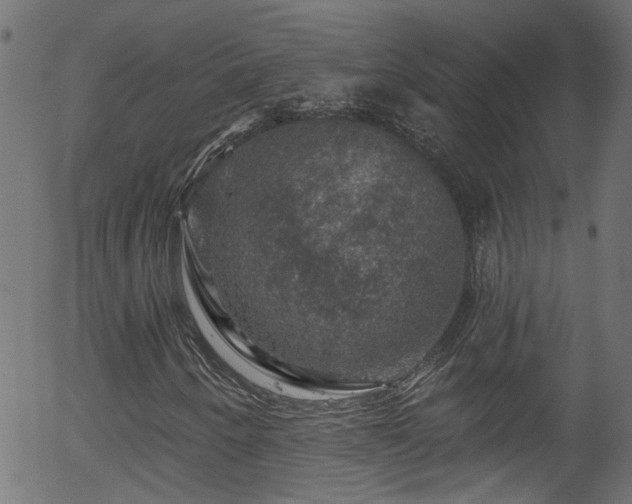 X0000056331250200508291243