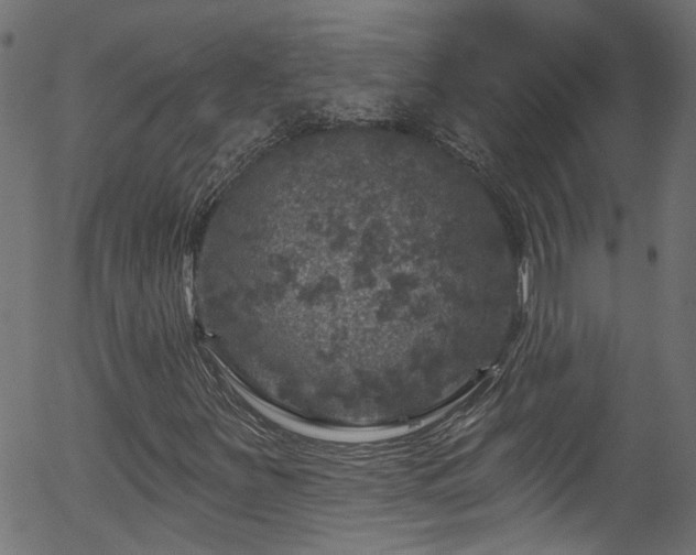 X0000056331251200508291243