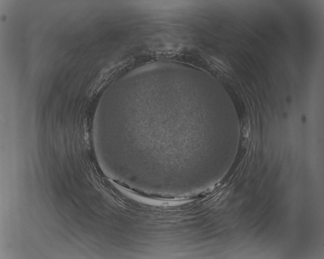 X0000056331252200508291243