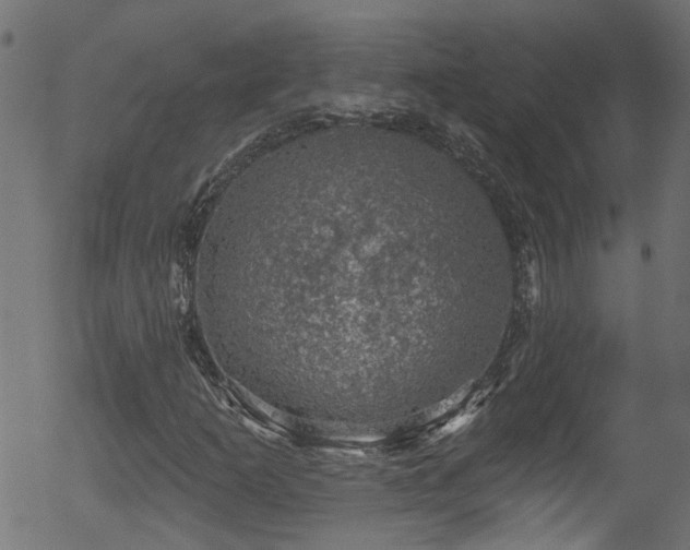 X0000056331253200508291243