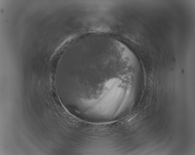 X0000056331254200508291243