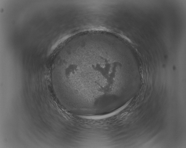 X0000056331255200508291243