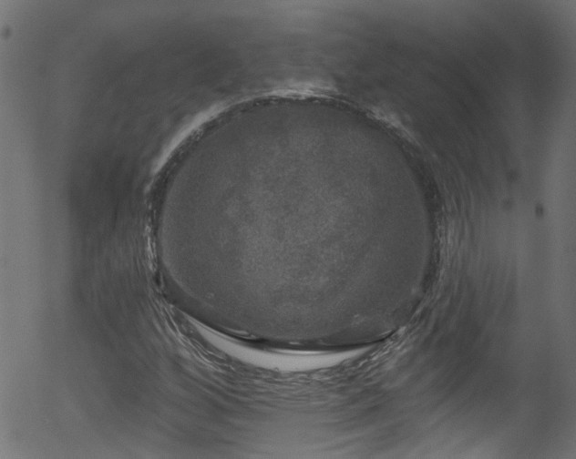 X0000056331256200508291243