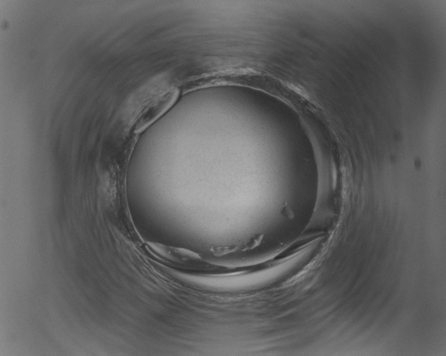 X0000056331257200508291243