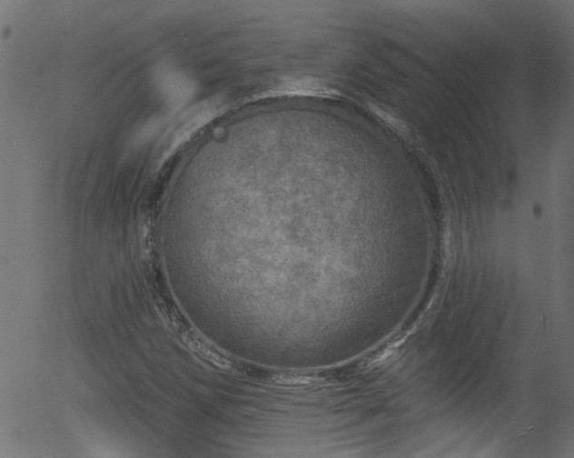 X0000056331258200508291243