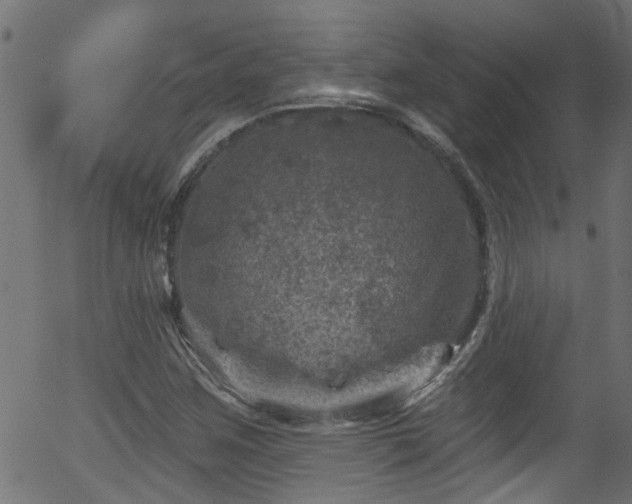 X0000056331259200508291243