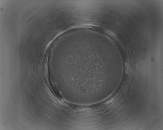 X0000056331260200508291243