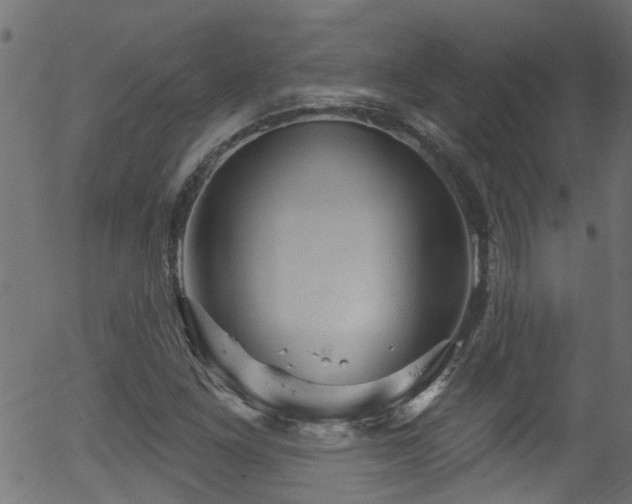 X0000056331261200508291243