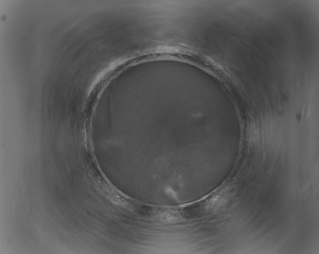 X0000056331262200508291243