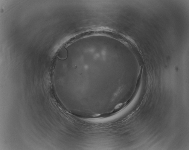 X0000056331263200508291243