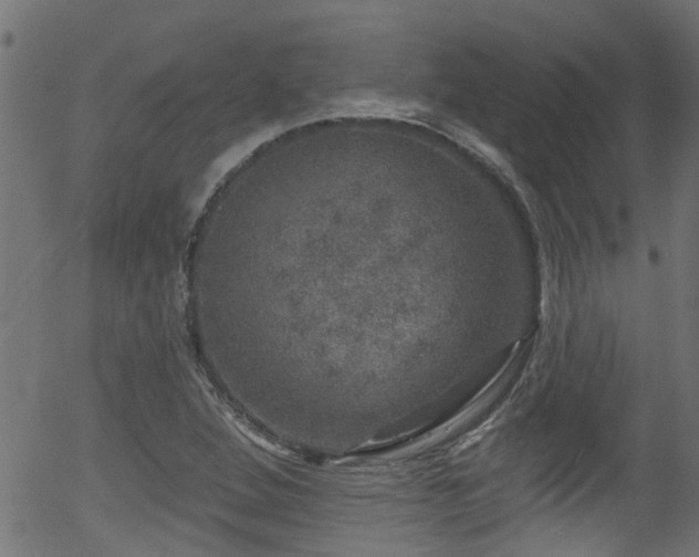 X0000056331264200508291243