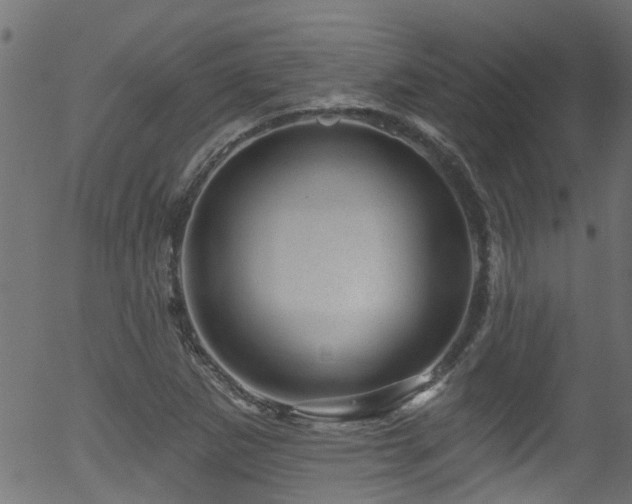 X0000056331265200508291243