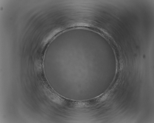 X0000056331266200508291243