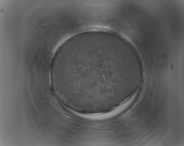 X0000056331267200508291243