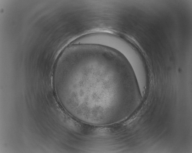 X0000056331268200508291243