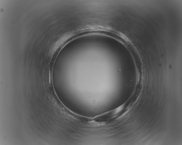 X0000056331269200508291243